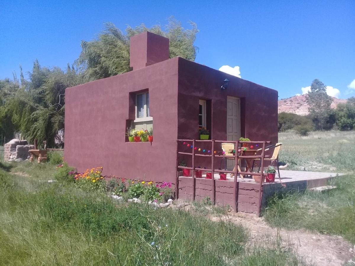 El Cardon,Habitacion Privada En El Campo Humahuaca Luaran gambar